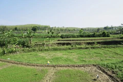 Ablation, Stock Photos