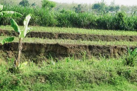 Ablation Stock Photos