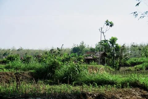 Ablation Stock Photos