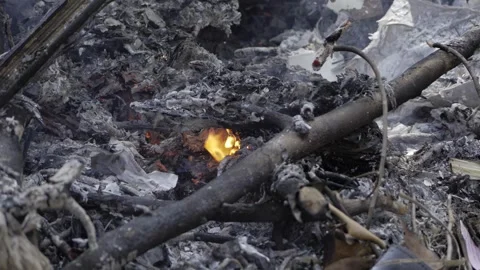 Ablaze  One Flames Journey in the Ashes Stock Footage 327530352