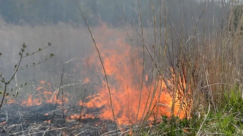 Ablaze rush Stock Footage 103566521