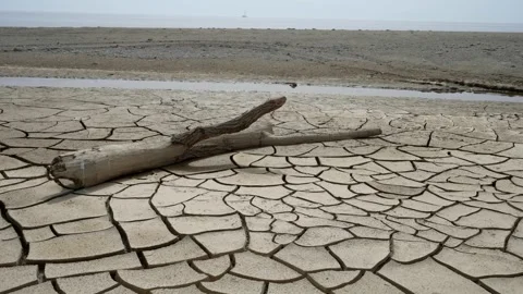 Abnormal heat is drying out the sea. Stock Footage 277218239
