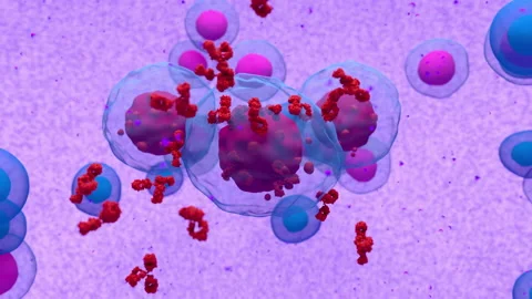 Abnormal plasma cell or b-cell in multiple myeloma emitting paraprotein Stock Footage 150678262