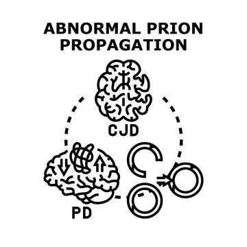 Abnormal prion propagation mechanism causing neurodegenerative disease Stock Illustration