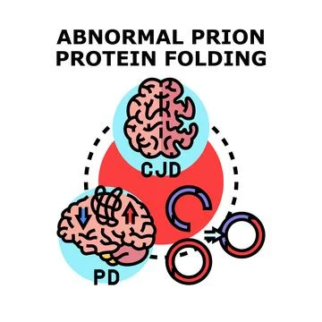Abnormal prion protein folding illness with brain diseases Stock Illustration