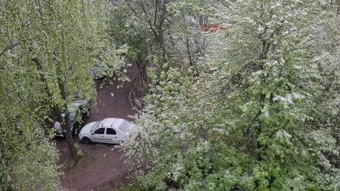 Abnormal snow in the city in spring Stock Footage 274568602