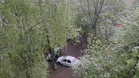 Abnormal snow in the city in spring Stock-Footage 274568606