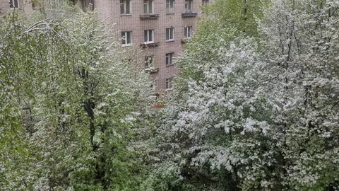 Abnormal snow in the city in spring Stock-Footage 274572617