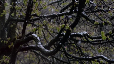 Abnormal Weather Video stock 75683167