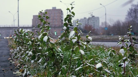 Abnormal weather is wet snow over the urban highway. Stock Footage 99176932