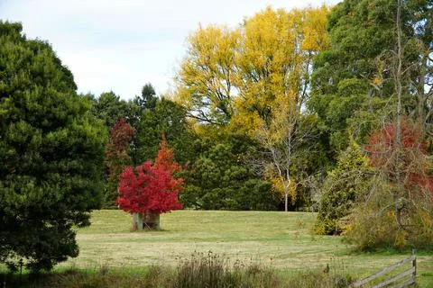 Aboretum 写真素材