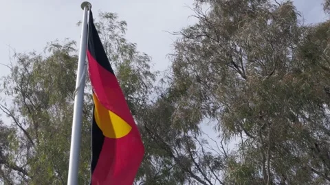 Aboriginal Flag Flapping in Wind on Flagpole Stock Footage 316374088