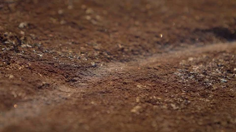 Aboriginal rock carving close up, focus pull Stock Footage 112587715