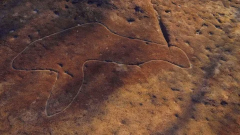 Aboriginal rock carving, dolphin Stock Footage 112587654