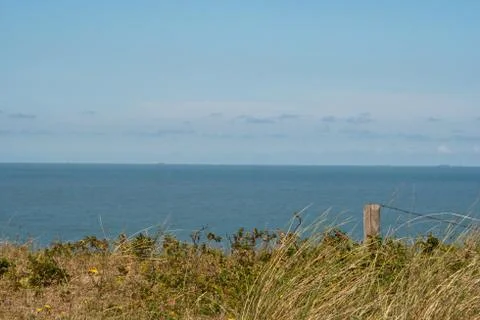 About the dunes edge Stock Photos