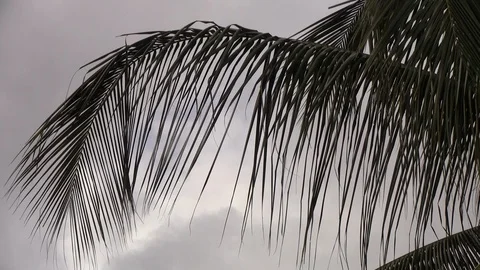 About to Rain 動画素材 100034885