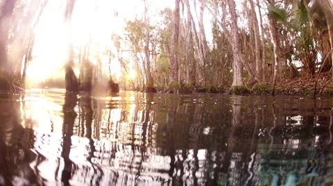 Above and below - entering the hidden world underwater Stock Footage 62841327