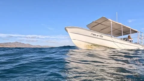 Above and below the surface Stock Footage 254285059