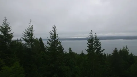 Above and through the pines trees overlooking the Puget Sound Video stock 90469278