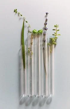 From above of assorted glass flasks and bottles arranged on table with fresh 스톡 사진