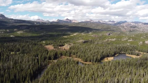 Above the Beartooth Plateau mountains forest river Stock Footage 312064129