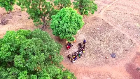 Above children gathered for a storytelling Stock Footage 80793953