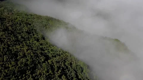 Above the clouds 6 動画素材 140028247