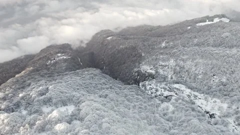 Above the clouds, drone point of view of the frozen forest Stock Footage 325516553