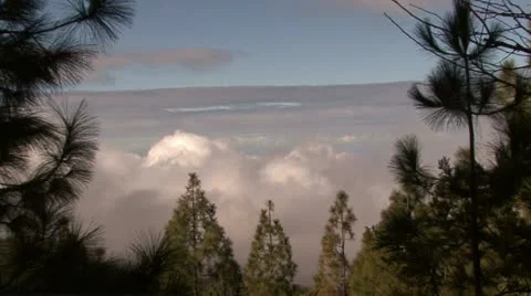 Above clouds Stock Footage 12050296
