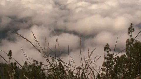 Above clouds Video stock 12050303