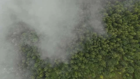 Above the clouds Stock Footage 146307844