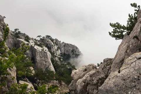 Above The Clouds Stock Photos