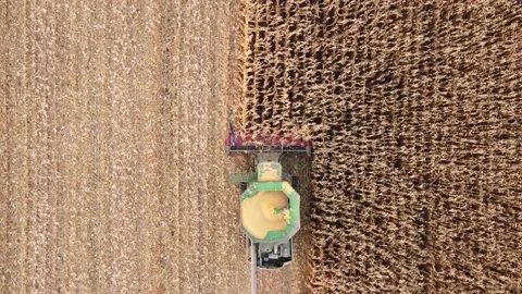Above the combine in the field Stock Footage 165781732