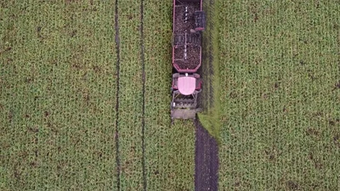 Above the combine Stock Footage 163934136