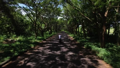 Above drone view a man is riding scooter on tropical island exploring palm tree Stock-Footage 251958032