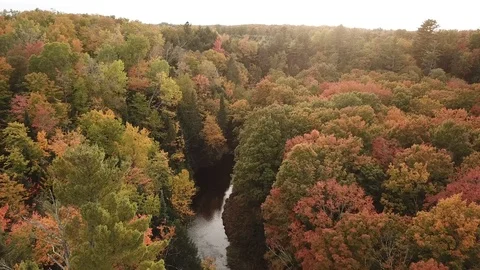 Above fall colors and river Stock Footage 86652341