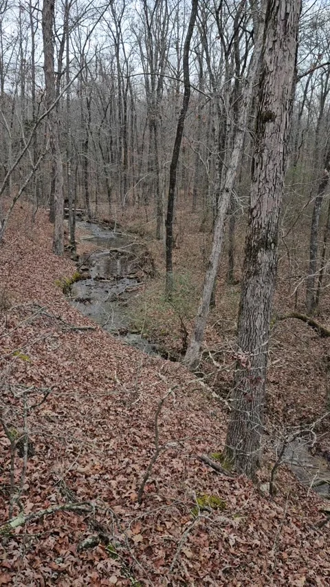 Above a Fall Creek Bed Stock Footage 260130552