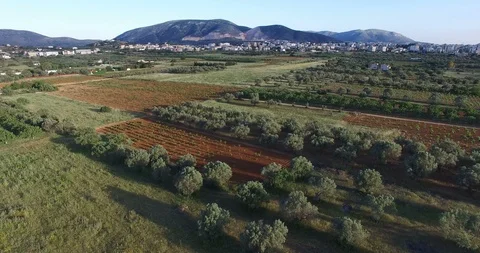 Above the Fields of Markopoulo in Athens Stock Footage 88259930