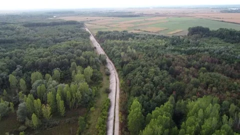 Above Forest and Road Stock Footage 145700359