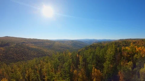 Above the forest Video stock 122647024