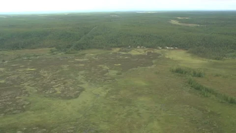 Above the forest Stock Footage 170056024