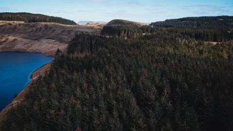 Above the forest Stock Photos