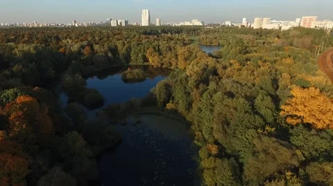 Above forest trees around small lake with on shore at autumn day Video stock 55358695