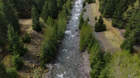 Above the Forrest and River Video stock 160007427