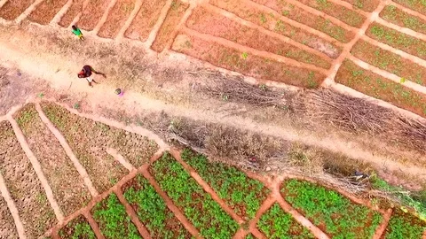 Above irrigating wells and squares Stock Footage 80795432