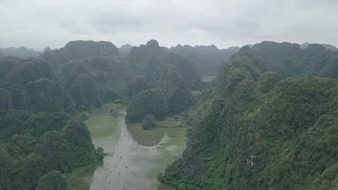 Above The Jungle Stock Footage