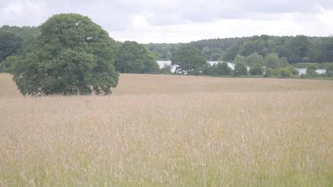 Above the lake Vídeos de archivo 132749209
