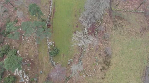 Above Leafless Bare Trees, Late Autumn in Field with Stone Fence, Aerial Vídeos de archivo 148316775