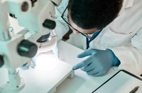 Above, man and scientist with microscope in lab for research, disease study.. Stock Photos
