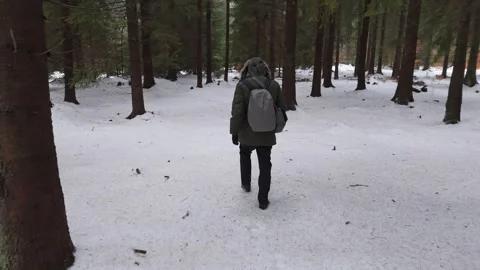 From above, a man clad in a green jacket and grey backpack wanders a snowy .. Stock Footage 265080643